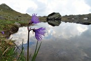 Laghetti di Ponteranica e Monti Ponteranica e Avaro ad anello dai Piani dell’Avaro il 19 giugno 2019 - FOTOGALLERY